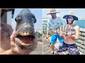 Fish With Human Teeth North Carolina | Sheepshead Fish Teeth