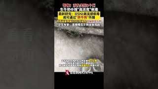 警惕！涉及美国9个州，最新研究：H5N1禽流感病毒或可通过“挤牛奶”传播！