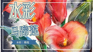 【水彩公开课】马蹄莲