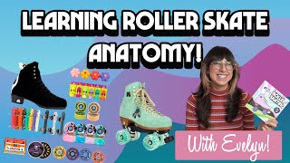 Roller Skate Anatomy - Part 1: Lacing, Toe-Stops, & Wheels!