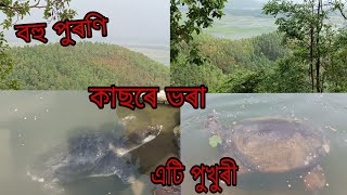 বহু পুৰণি কাছৰে ভৰা এটি পুখুৰী........🐢 #traveling #assamese #assam