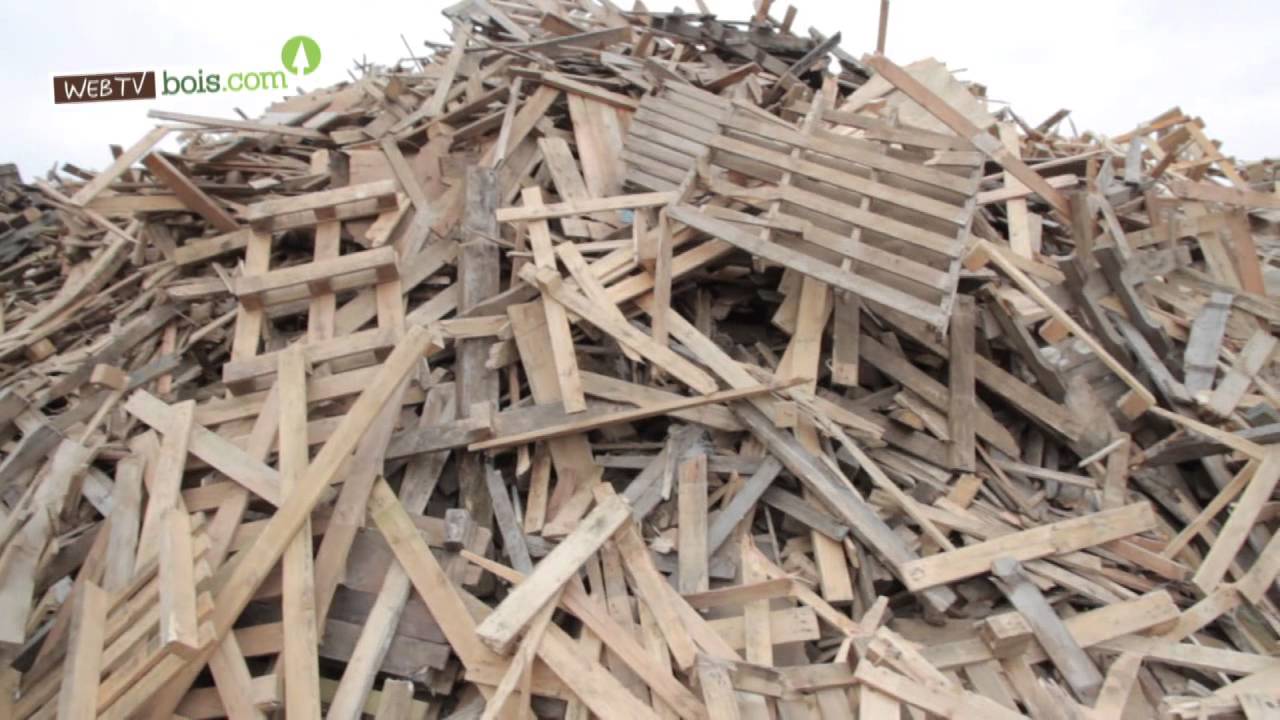 Bois Et Recyclage - Veolia Recyclage & Valorisation Des Déchets - YouTube