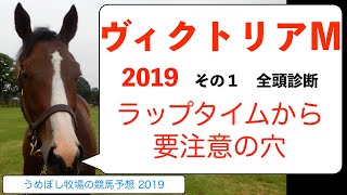 【ヴィクトリアマイル】競馬予想 2019 その１ 全頭診断 ～要注目の穴馬分析～