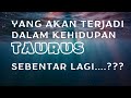 TAURUS Agustus 2023🔥Yang Akan Terjadi Dalam Kehidupan Taurus#baca#tarot#zodiak#taurus