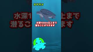 実在する海の巨大生物 ３選　声 VOICEVOX:ずんだもん 音読さん #shorts #動物 #生物