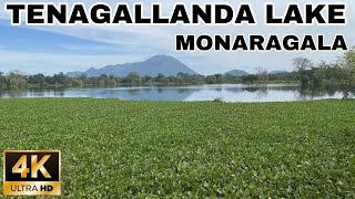 THENAGALLANDA LAKE,MONARAGALA