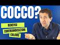 COCCO: chi NON deve mangiarlo? 🥥 È vero che fa dimagrire? A cosa fa bene? E poi acqua, latte e olio