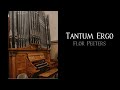 Tantum Ergo - Peeters