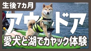 【柴犬】愛犬と一緒に楽しめるカヤック体験ツアーが最高すぎた！！ / 生後７か月