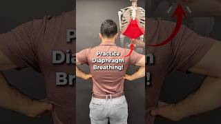 This is how to practice breathing properly with your diaphragm! #breathing #posture #diaphragm #pt
