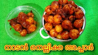 നാടൻ നെല്ലിക്ക അച്ചാർ|Kerala Gooseberry Pickle|Tasty Nellikka Achar|Gooseberry Achar|Nellikka Pickle