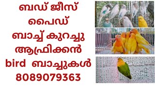 കിടിലൻ ബഡ് ജീ സുകൾ വൻ ഓഫറിൽ 8089079363🥰🥰🥰🥰🥰🥰