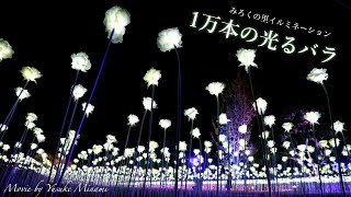 【みろくの里イルミネーション2019】一万本の光るばらにうっとり・・・10000ROSES（広島県福山市）／備後カメラ部