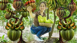 WOMAN Harvesting Octopus Fruit - The fruit has many tentacles like an octopus | Farm Life \u0026 Cooking