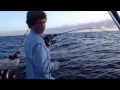 fishing offshore noosa