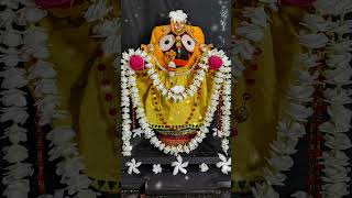 ଗୁହାରୀ ଶୁଣ ଭଗବାନ ବଧିର ହେଲ କି କାରଣ #puri #jagannath #new #bhajan #viral #video #shortvideo #shorts