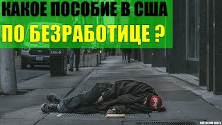 Какое пособие по безработице в США?