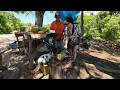30 AÑOS vendiendo coco en Rio San Juan y el GATO QUE COME COCO