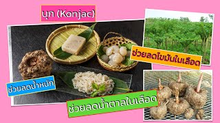 บุก (Konjac) ราชาแห่งเส้นใย !!! มีประโยชน์ต่อสุขภาพดีเยี่ยม !!!