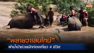 “พลายวาเลนไทน์” ฝ่าน้ำป่าช่วยนักท่องเที่ยว 4 ชีวิต | MONO ข่าวเย็น | 30 มิ.ย. 67