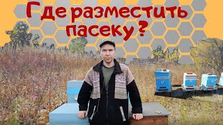 Как выбрать место для пасеки.- Где разместить пасеку?