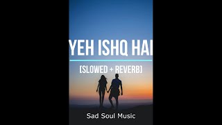 Yeh Ishq Hai[Slowed + Reverb] | Jab We Met | Kareena Kapoor, Shahid Kapoor | Pritam | Shreya Ghoshal