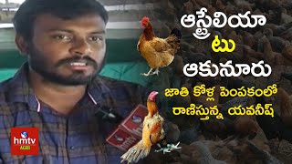 ఆస్ట్రేలియా టు ఆకునూరు | Desi Hens Farming | Young Farmer Success Story | hmtv Agri