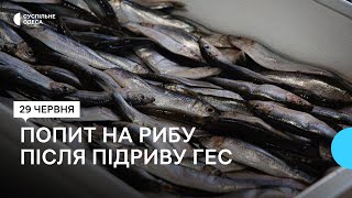 «Свіжої риби немає взагалі»: чи купують жителі Одеси морепродукти