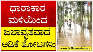 ಧಾರಾಕಾರ ಮಳೆಯಿಂದ ಜಲಾವೃತವಾದ ಅಡಿಕೆ ತೋಟಗಳು..! | Tumakuru | Karnataka | Tv5 Kannada