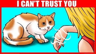 How Cats Can Sense a Bad Person (And Other Cat Incredible Abilities Explained)