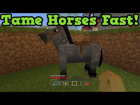 Minecraft Xbox 360 PS3 FASTEST Way to Tame A Horse Minecraft Xbox 360 PS3 FASTEST Way to Tame A Horse