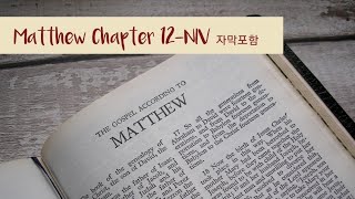 Matthew 12 NIV AUDIO BIBLE (with text)