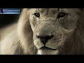 8 Hours Long Focus Music For Work Concentration Music Memory Music Binaural Beats Focus Music