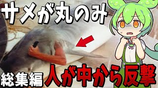 【総集編】眠れなくなるほど面白い生物の謎５選【ずんだもん解説】