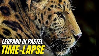 Painting a Realistic Leopard | Pastel Painting Time-lapse