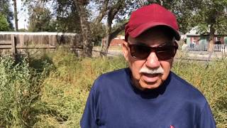 Tall weeds invade abandoned East Side home, neighbors frustrated