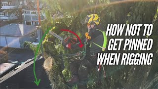 Avoid getting pinned by a branch or log -  Rigging techniques for Arborists