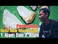 Perbedaan Batu Akik Mani Gajah 1 Alam Dan 2 Alam