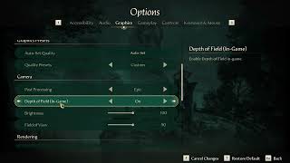 How to Change camera, Brightness and Field of view Settings in Eternal Strands