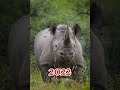 2022 Rhinoceros V/S 6000 Bce Rhinoceros 🌿// Best WhatsApp Status Video 🌿🌿// #short video//😈Attitude😈