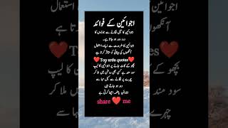 Rumi Quotes In Urdu | Motivational Quotes | Urdu Islamic Quotes | Best Urdu Quotes | Golden Words