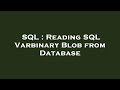 SQL : Reading SQL Varbinary Blob from Database