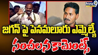 సీఎం జగన్ పై పెనమలూరు ఎమ్మెల్యే సంచలన కామెంట్స్ | Penamaluru MLA Sensational Comments On Jagan