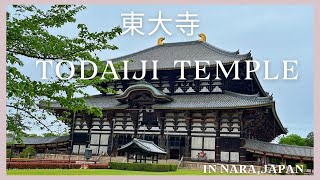 【寺院紹介】Todaiji Temple /東大寺　IN NARA, JAPAN　奈良の大仏/国宝　大仏殿　盧舎那仏　八角灯籠　南大門