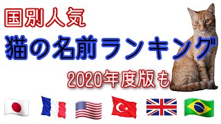 国別の猫の名前人気ランキング