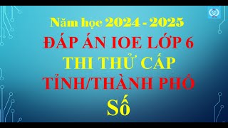 Đáp án IOE lớp 6 - Thi thử cấp Tỉnh/TP (Năm học 2024 - 2025) - Số 2