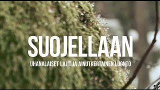 Äänelläsi Suojellaan meidän yhteistä ympäristöämme