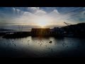 Black Friday For Sharks in Wellington