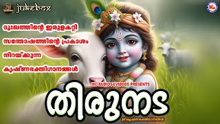 ദുഃഖത്തിൻ്റെ ഇരുളകറ്റി സന്തോഷത്തിൻ്റെ പ്രകാശം നിറയ്ക്കുന്ന കൃഷ്ണഭക്തിഗാനങ്ങൾ | Sree Krishna Songs