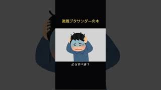 【替え歌】「強風オールバック」「ブタサンダー」「寝起きヤシの木」まとめて歌ってみた #shorts